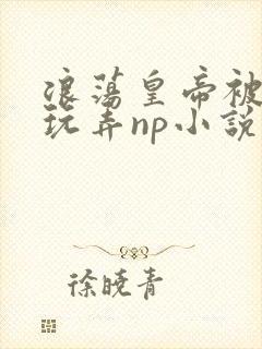 浪荡皇帝被多人玩弄np小说