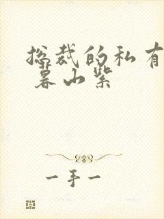 总裁的私有宝贝 暮山紫