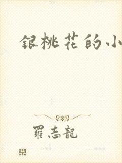银桃花的小说