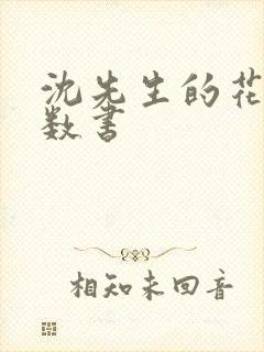 沈先生的花式调数书