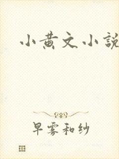 小黄文小说