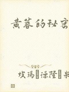 黄蓉的秘密
