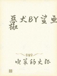 恶犬BY鲨鱼辣椒