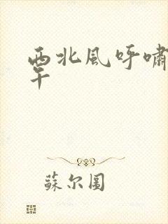 西北风呼啸的中午