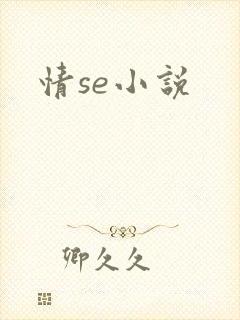 情se小说