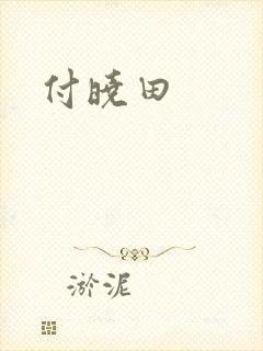 付晓田