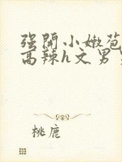 强开小嫩苞h文高辣h文男男