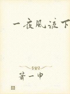 一夜风流下载