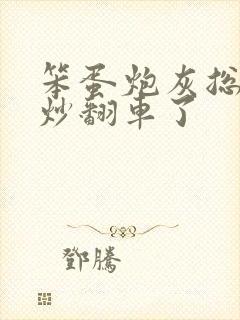 笨蛋炮灰总被爆炒翻车了