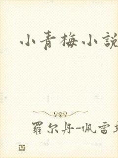 小青梅小说