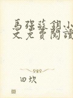 马强苏钥小说全文免费阅读最新章节