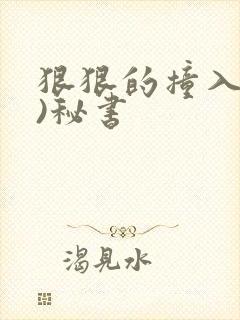 狠狠的撞入(h)秘书