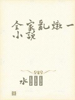 全家乱炖一锅烩小说