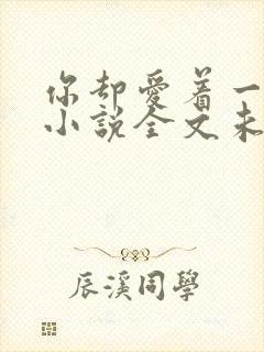 你却爱着一个他小说全文未删减免费