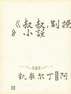 《叔叔,别撩我》小说