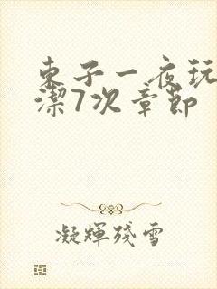 东子一夜玩弄白洁7次章节