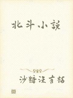 北斗小说