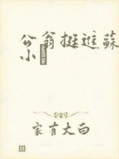 公翁挺进苏玥的小泬