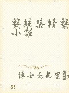 系统集精系统 小说