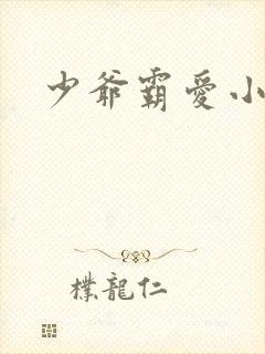 少爷霸爱小丫头