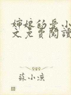 婶娘的爱小说全文免费阅读