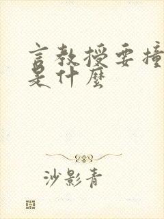 言教授要撞坏了是什么