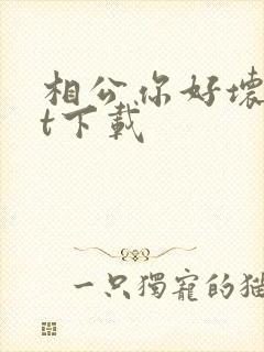 相公你好坏txt下载