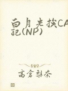 白月光挨CAO记(NP)