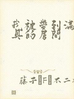 我被带到满是玩具的房间