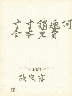 寸寸销魂何生祥全本免费