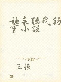 她来听我的演唱会小说