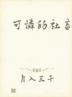 可怜的社畜小说