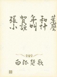 张贺年和叶繁姿小说叫什么名字