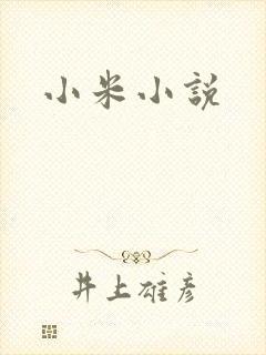 小米小说