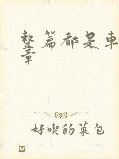 整篇都是车的文章