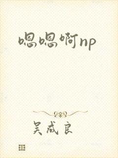 嗯嗯啊np