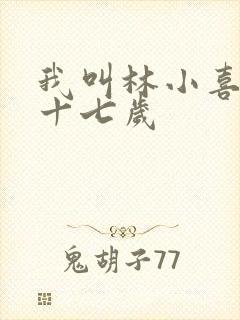 我叫林小喜今年十七岁