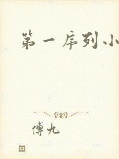 第一序列小说
