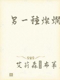 另一种灿烂生活