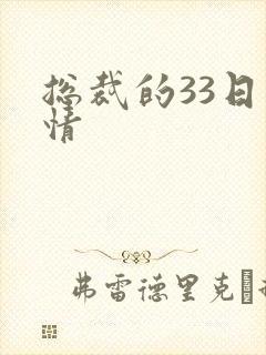 总裁的33日索情