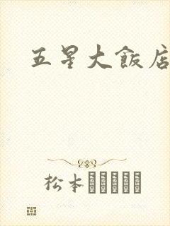五星大饭店小说
