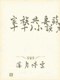 家族共妻苏苏(十千)小说免费