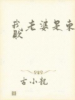 我老婆是东方不败