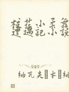 校花小柔舞蹈室遭遇记小说