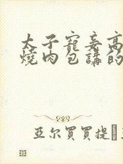 太子宠妾高肉红烧肉包讲的什么