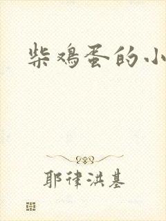 柴鸡蛋的小说