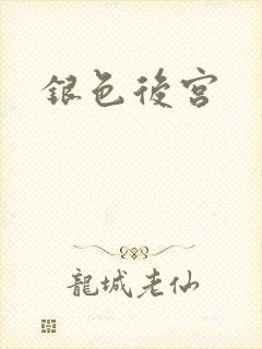 银色后宫