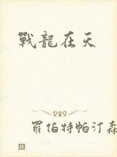 战龙在天