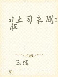 xl上司未删减版