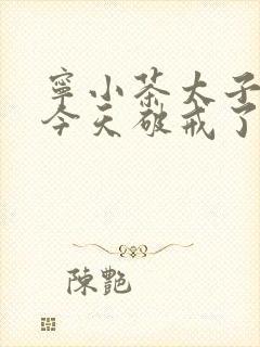 宁小茶太子殿下今天破戒了吗免费阅读